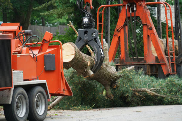 Best Lawn Irrigation Installation and Maintenance  in Depoe Bay, OR