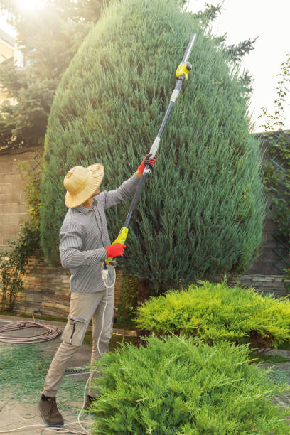 Best Seasonal Cleanup (Spring/Fall)  in Depoe Bay, OR